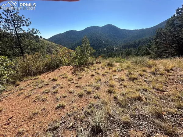 270 Upper Sun Valley RD, Manitou Springs, CO 80829