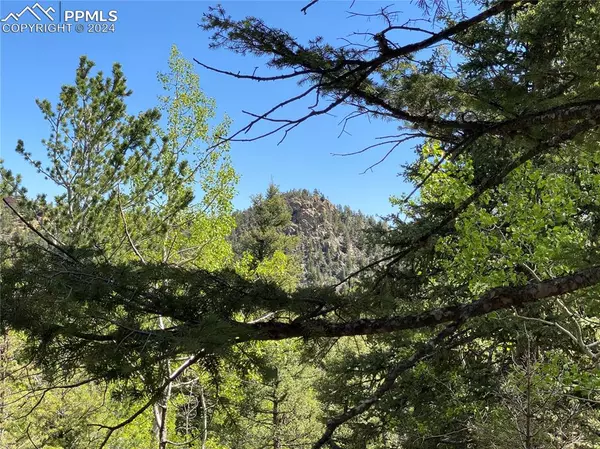 Manitou Springs, CO 80829,210 Waterfall LOOP