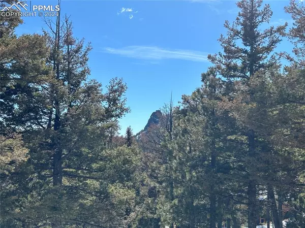 Manitou Springs, CO 80829,91 Ponderosa VW