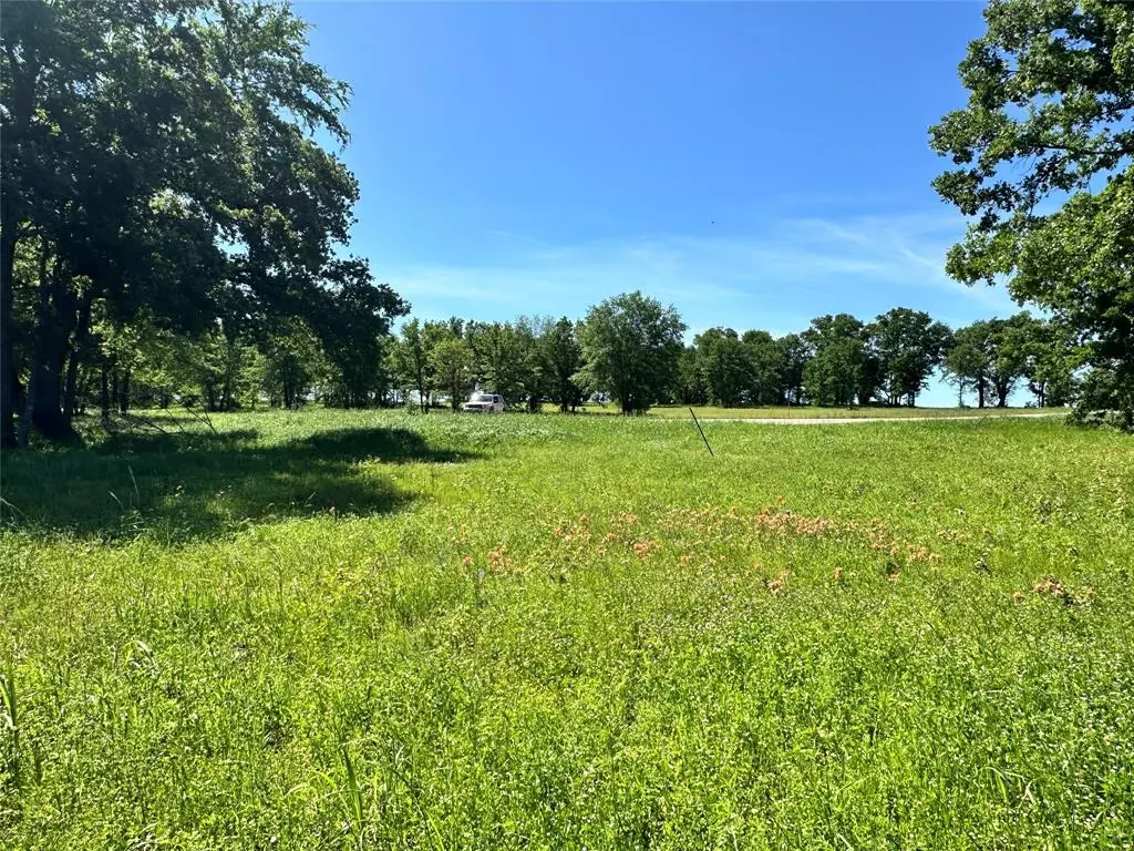 Streetman, TX 75859,Lot 52 Paradise Cove