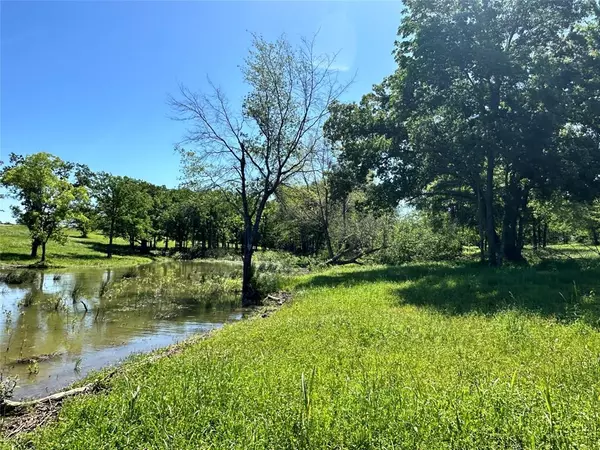 Streetman, TX 75859,Lot 52 Paradise Cove