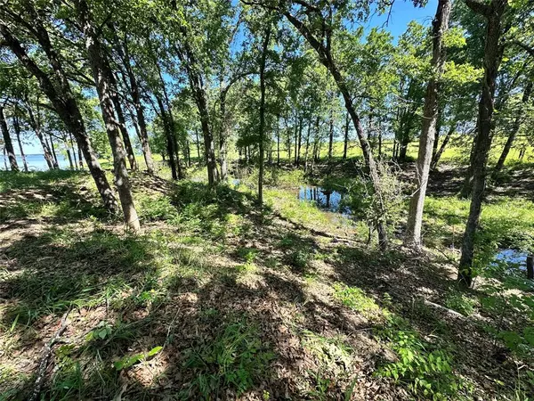 Streetman, TX 75859,Lot 52 Paradise Cove