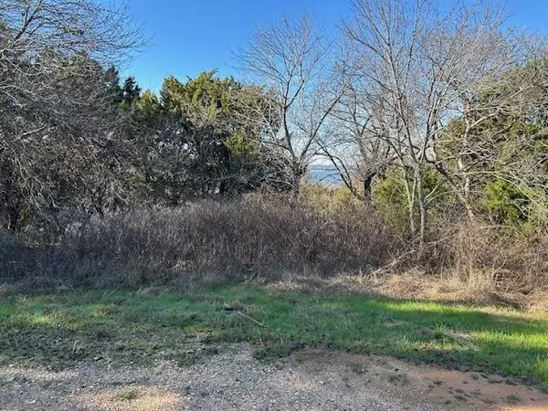 1272 Paint Brush Court, Whitney, TX 76692