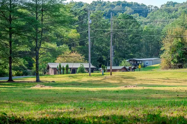 Mineral Bluff, GA 30559,1.40 Mountain Rivers Road