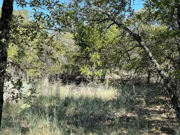 Bowie, TX 76230,lot 431 Bluffs Avenue