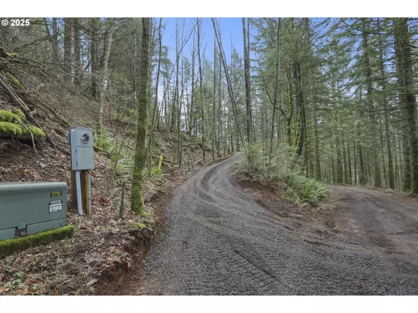 KUEFFLER RD, Skamania, WA 98648