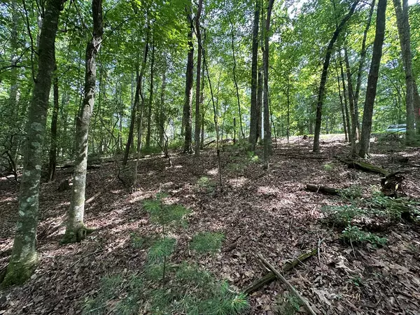 Ellijay, GA 30540,Lot 433 Seneca Drive