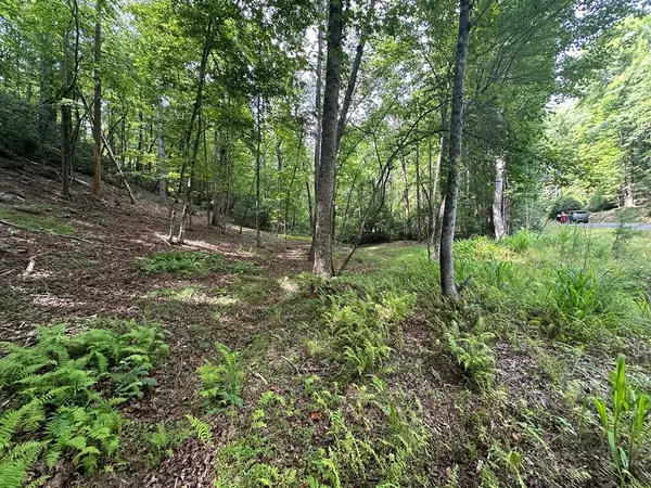 Ellijay, GA 30540,Lot 556 Satsuma Court N