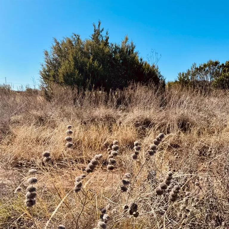 Glen Rose, TX 76043,1093 Preston Valley Trail