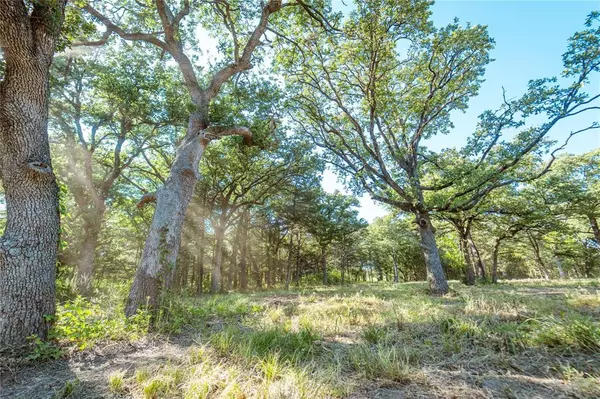 Gainesville, TX 76240,Lot 4 CR 297