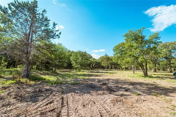 Gainesville, TX 76240,Lot 3 CR 297