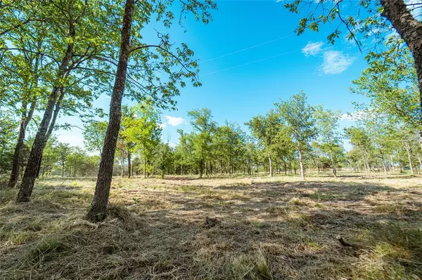 Gainesville, TX 76240,Lot 8 CR 297