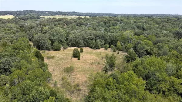 Athens, TX 75751,TR 1 & 2 CR 41514