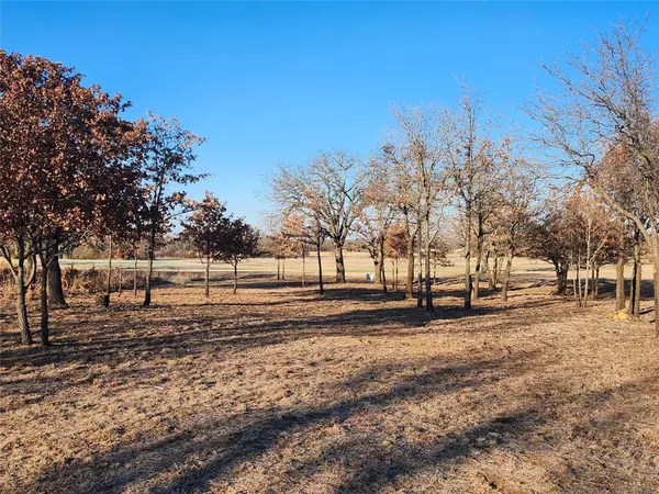 Nocona, TX 76255,10 Ridglea Court