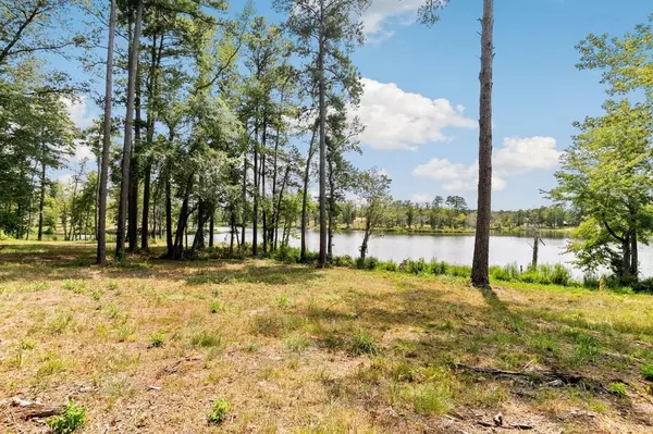 Hallsville, TX 75650,Lot 40 Big Rock Lake Road