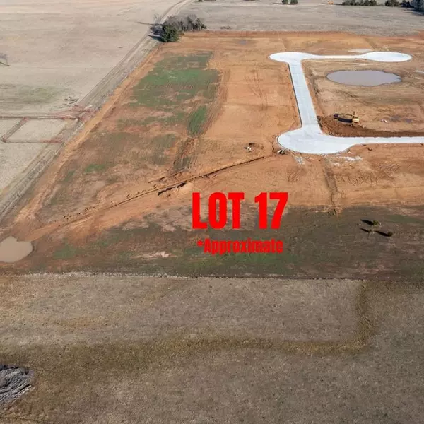 Whitesboro, TX 76273,LOT 17 Dixie Estates Way