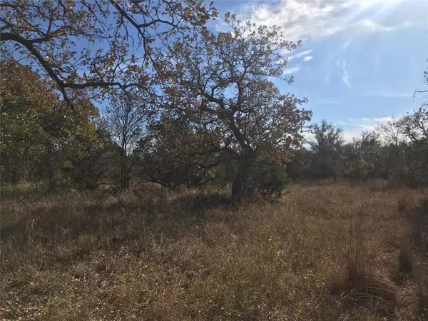 Gordon, TX 76453,TBD Stagecoach Trail