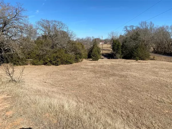 Ivanhoe, TX 75447,TBD County Road 2100