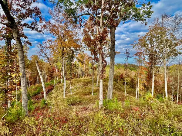 Ellijay, GA 30540,117 Ridge Wood Trail