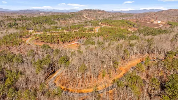 Talking Rock, GA 30175,Lot 431 Twisted Oak Road