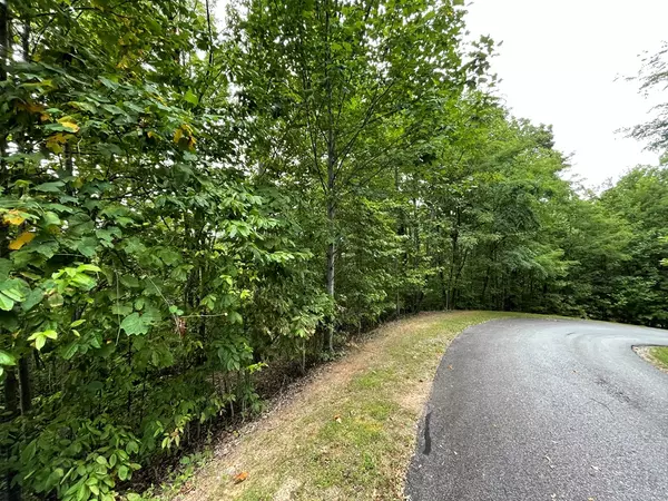 Hayesville, NC 29804,Lot 32 J Mountain Harbour Lot