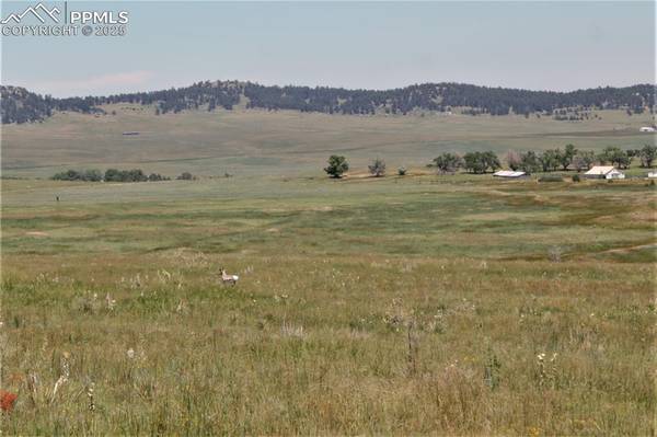 Tract 7 Mcclelland RD, Calhan, CO 80808