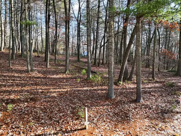 Blairsville, GA 30512,Lot 20 Fox Lake