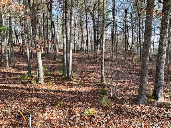 Blairsville, GA 30512,Lot 20 Fox Lake