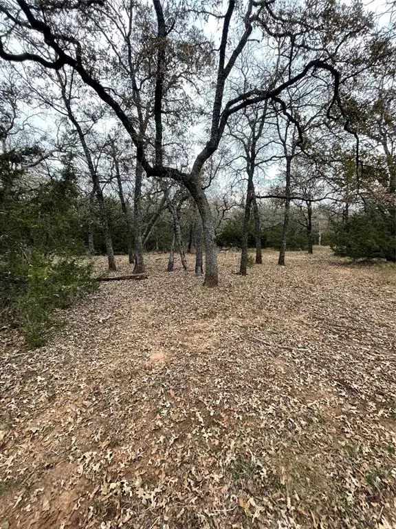 Alvord, TX 76225,000 School Oaks Road