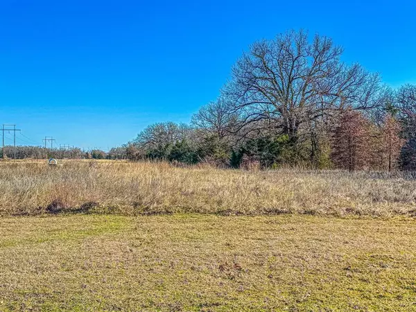 Kerens, TX 75144,Lot 22 Northshore Drive