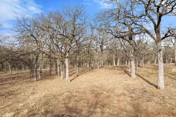 Covington, TX 76636,101 Cemetery Road