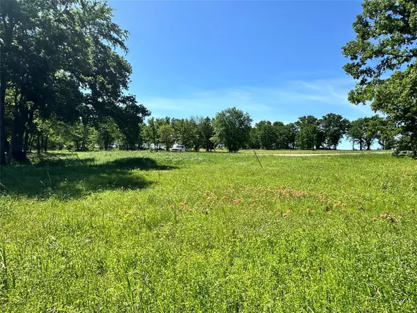 Lot 52 Paradise Cove, Streetman, TX 75859