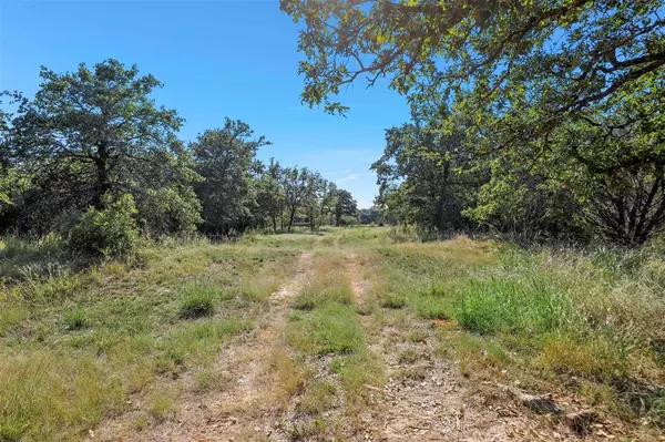 Glen Rose, TX 76043,0000 TBD