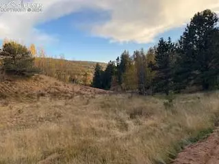 Cripple Creek, CO 80813,212 Wolftone DR