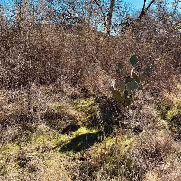 Glen Rose, TX 76043,1947 Hidden Valley Road