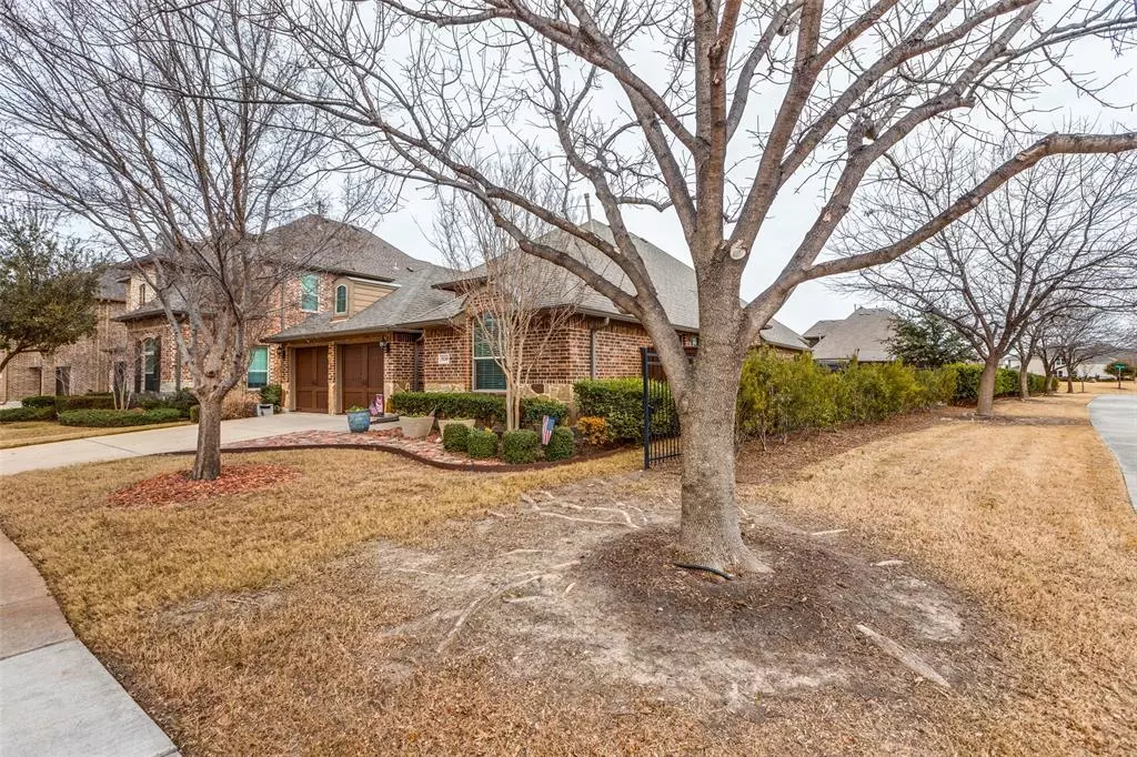 Frisco, TX 75036,8110 Haltered Horse Lane