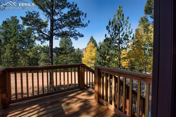 Cripple Creek, CO 80813,475 Crystal DR