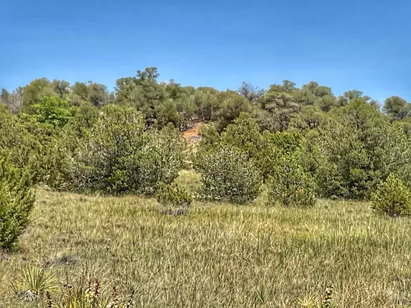 Walsenburg, CO 81089,Lot 25 Comanche Dr