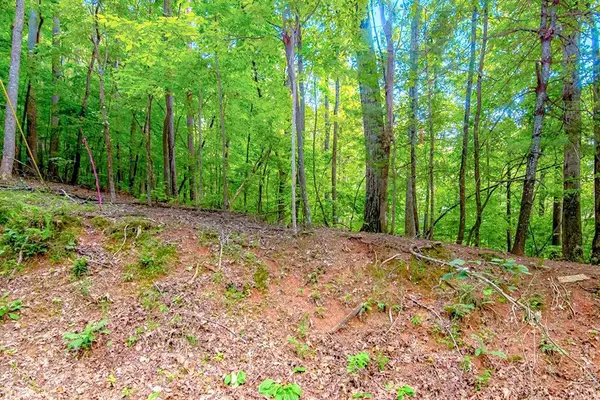 LT J350 Walnut Mountain, Ellijay, GA 30540