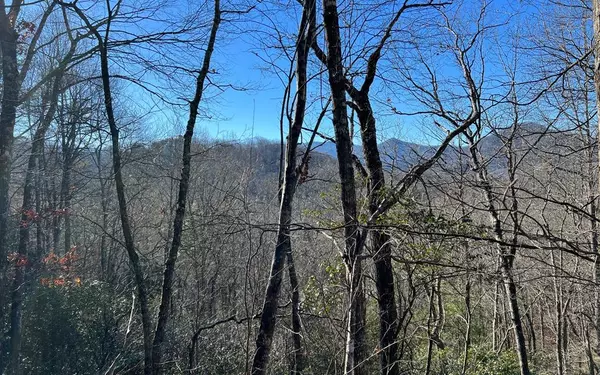 Lot 33 Fodder Creek Mill Drive, Hiawassee, GA 30546