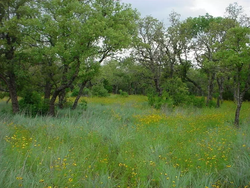 Gordon, TX 76453,6H Stagecoach Trail