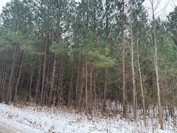 Lot 3 Coopers Landing DR, Heathsville, VA 22473