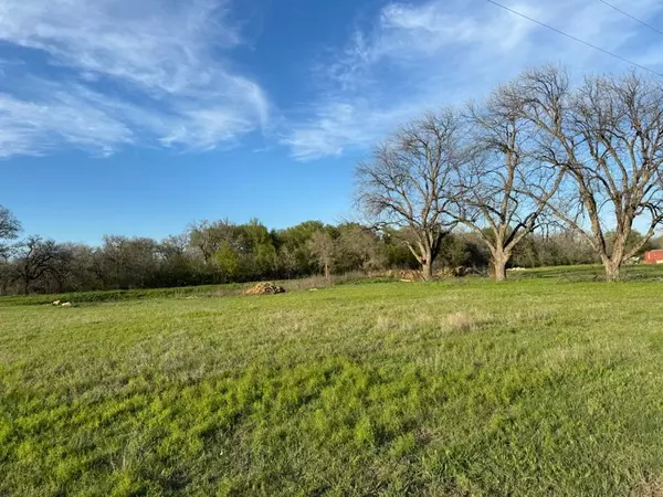 Gordon, TX 76453,1690 County Road 119