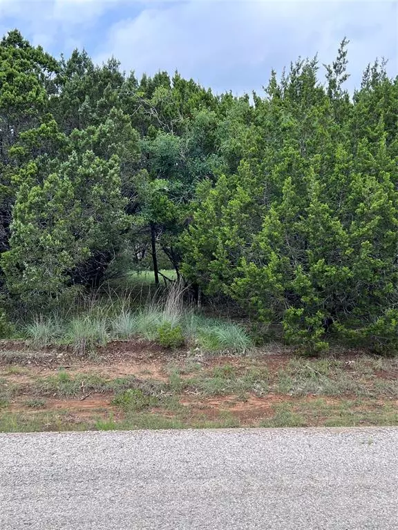 39030 Cedar Trail, Whitney, TX 76692