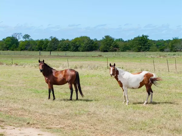 Point, TX 75472,1358 RS County Road 1310