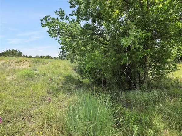 Weatherford, TX 76088,TBD Ellis Road