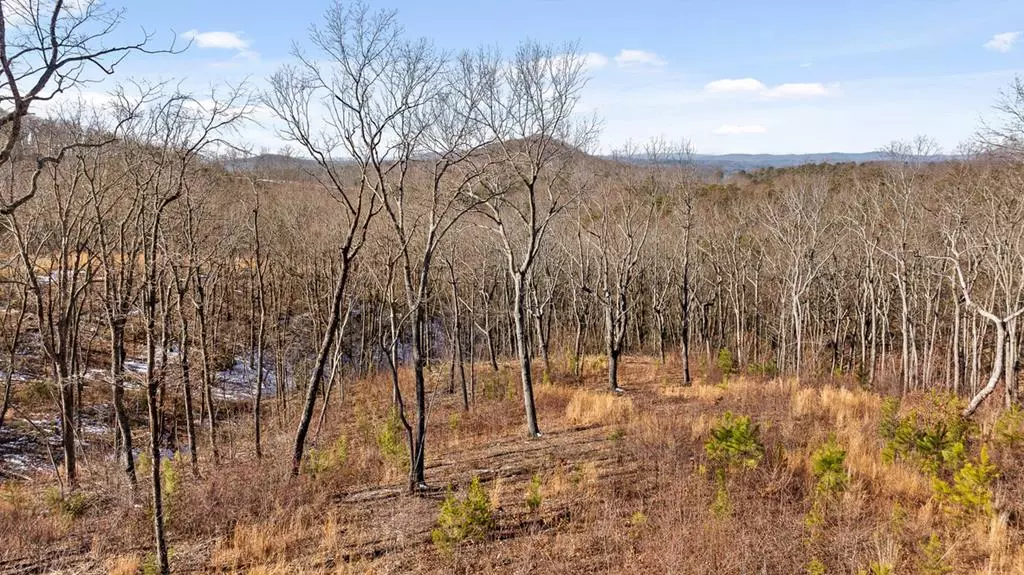 Talking Rock, GA 30175,Lot 92 Timberline Trail