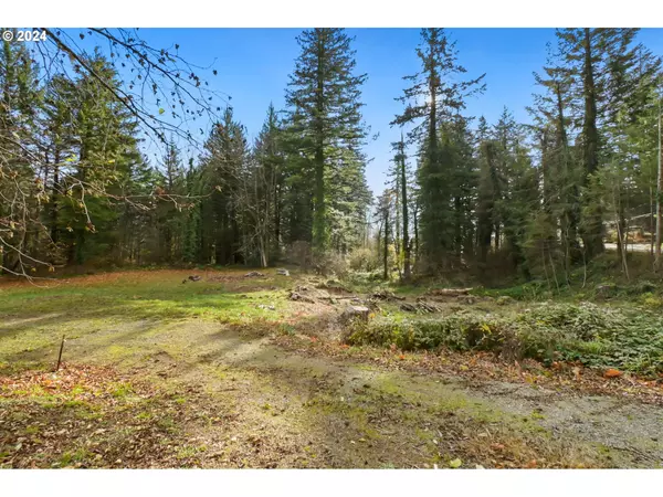 000 NW School (Lot 2, Land) RD #2, Stevenson, WA 98648