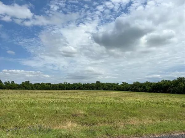 Honey Grove, TX 75446,24900 Tract 3 County Line Road