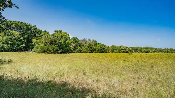 Azle, TX 76020,TBD # 4 Briar Road